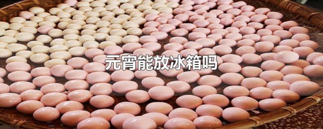 元宵能放冰箱吗 元宵能放冰箱吗