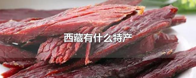 西藏有什么特产