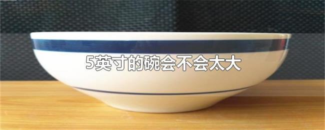 5英寸的碗会不会太大