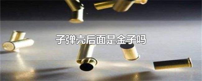 子弹壳后面是金子吗