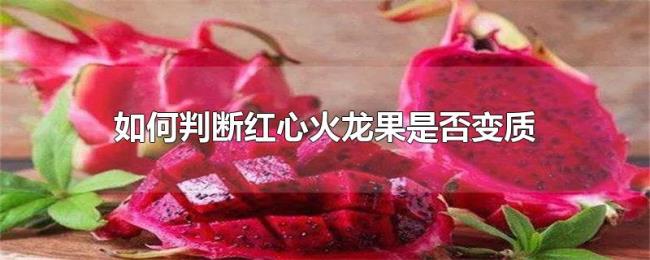 如何判断红心火龙果是否变质