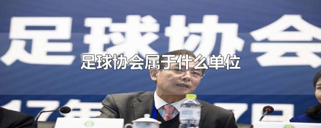 足球协会属于什么单位