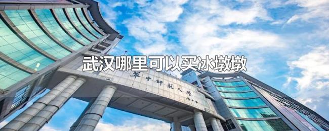 武汉哪里可以买冰墩墩 武汉哪里可以买冰墩墩