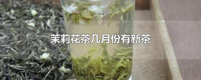 茉莉花茶几月份有新茶 茉莉花茶几月份有新茶