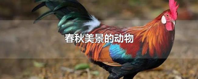 春秋美景的动物