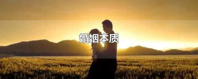 婚姻本质 婚姻本质