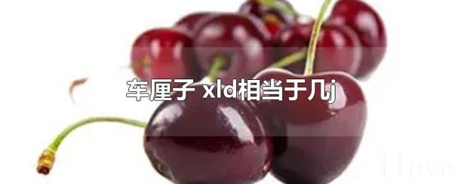 车厘子（xld相当于几j）