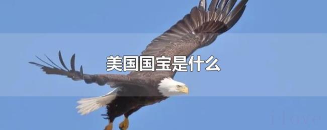 美国国宝是什么 美国国宝是什么