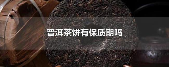 普洱茶饼有保质期吗