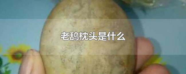 老鸹枕头是什么 老鸹枕头是什么