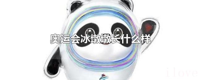 奥运会冰墩墩长什么样 奥运会冰墩墩长什么样