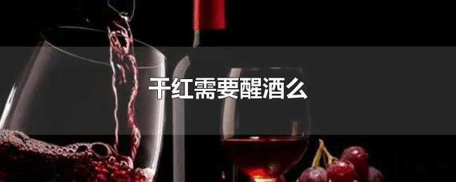 干红需要醒酒么