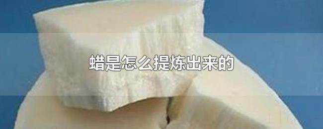 蜡是怎么提炼出来的 蜡是怎么提炼出来的