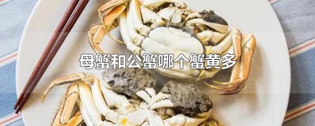 母蟹和公蟹哪个蟹黄多 母蟹和公蟹哪个蟹黄多