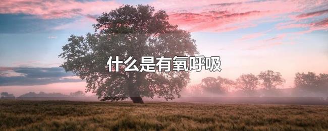 什么是有氧呼吸