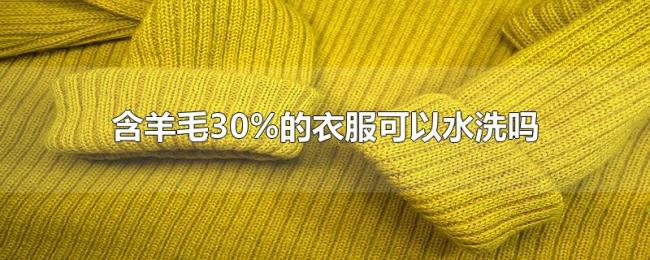 含羊毛30%的衣服可以水洗吗