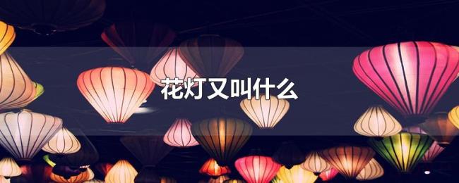 花灯又叫什么