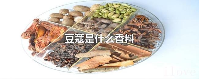 豆蔻是什么香料 豆蔻是什么香料