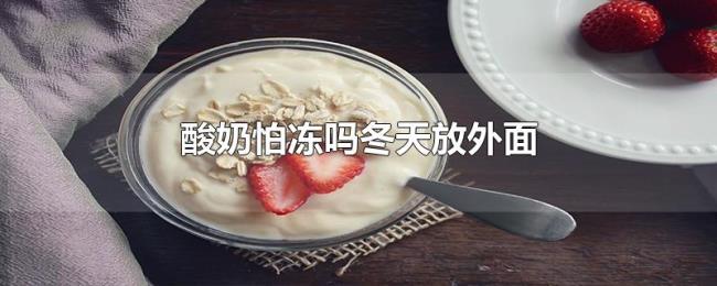 酸奶怕冻吗冬天放外面