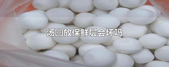 汤圆放保鲜层会坏吗 汤圆放保鲜层会坏吗