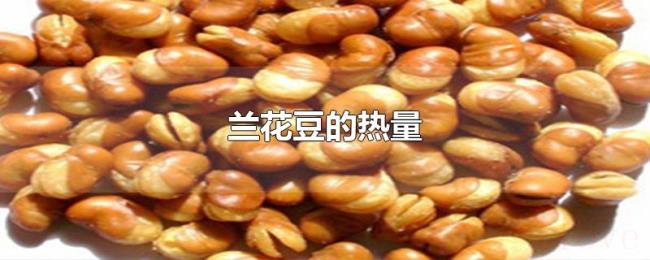 兰花豆的热量 兰花豆的热量