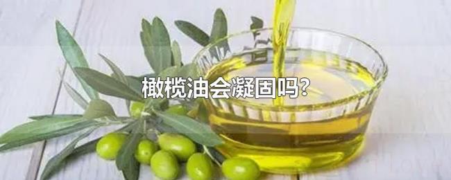 橄榄油会凝固吗? 橄榄油会凝固吗?
