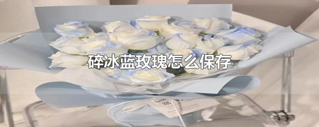 碎冰蓝玫瑰怎么保存 碎冰蓝玫瑰怎么保存