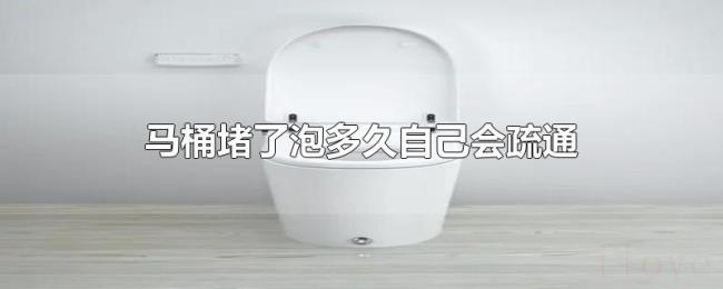 马桶堵了泡多久自己会疏通