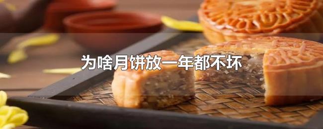 为啥月饼放一年都不坏 为啥月饼放一年都不坏