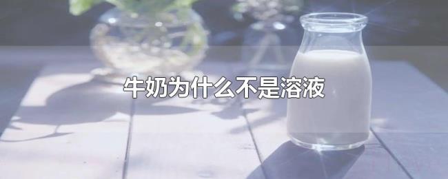 牛奶为什么不是溶液 牛奶为什么不是溶液