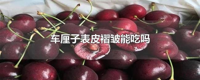 车厘子表皮褶皱能吃吗