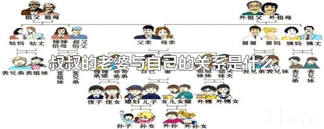 叔叔的老婆与自己的关系是什么