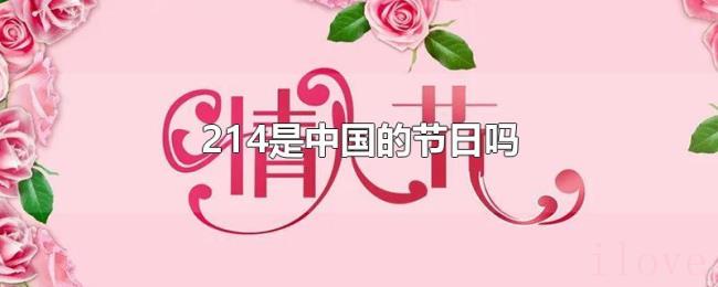 214是中国的节日吗