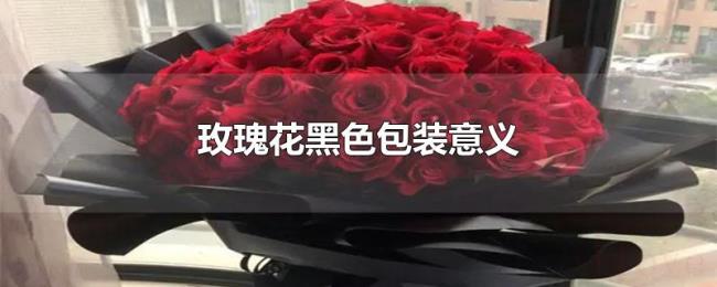 玫瑰花黑色包装意义 玫瑰花黑色包装意义