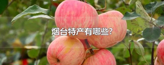 烟台特产有哪些?