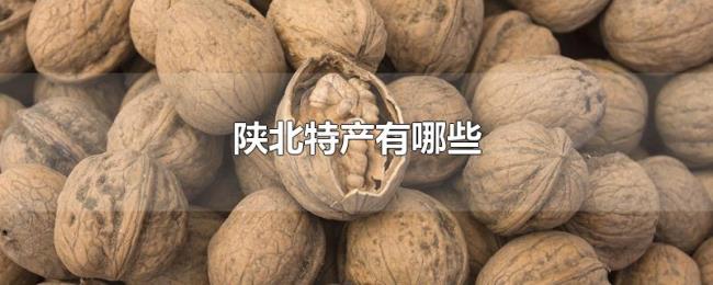 陕北特产有哪些