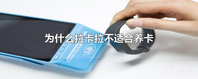 为什么拉卡拉不适合养卡