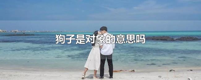 狗子是对象的意思吗