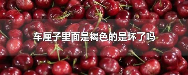 车厘子里面是褐色的是坏了吗