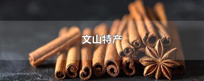 文山特产