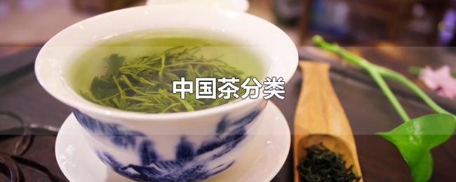中国茶分类