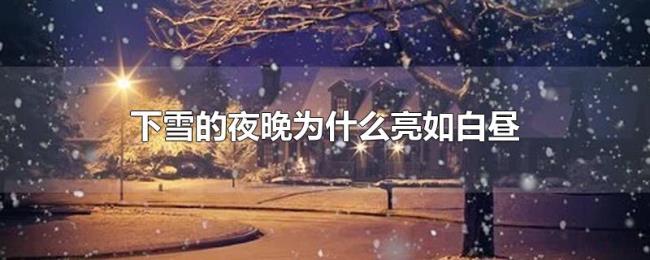 下雪的夜晚为什么亮如白昼