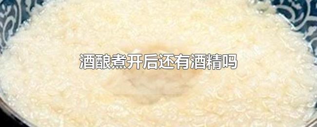 酒酿煮开后还有酒精吗