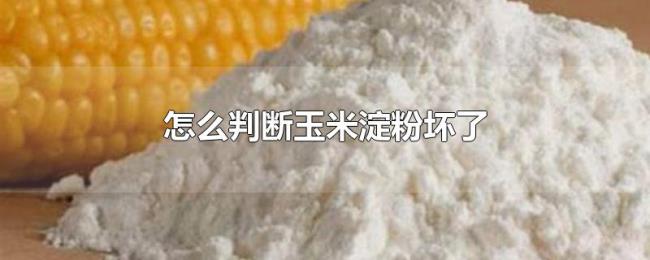 怎么判断玉米淀粉坏了 怎么判断玉米淀粉坏了