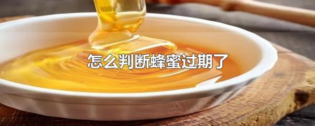 怎么判断蜂蜜过期了