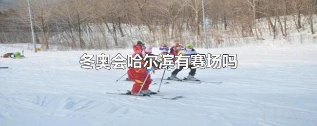 冬奥会哈尔滨有赛场吗 冬奥会哈尔滨有赛场吗