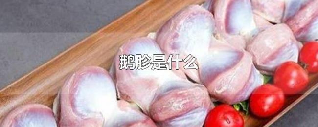 鹅胗是什么 鹅胗是什么