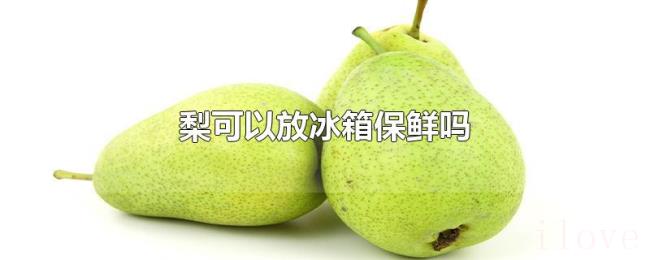 梨可以放冰箱保鲜吗 梨可以放冰箱保鲜吗
