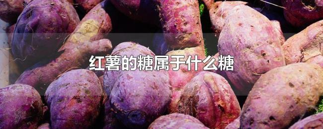 红薯的糖属于什么糖 红薯的糖属于什么糖