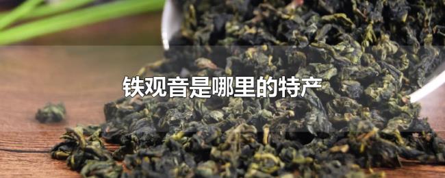铁观音是哪里的特产